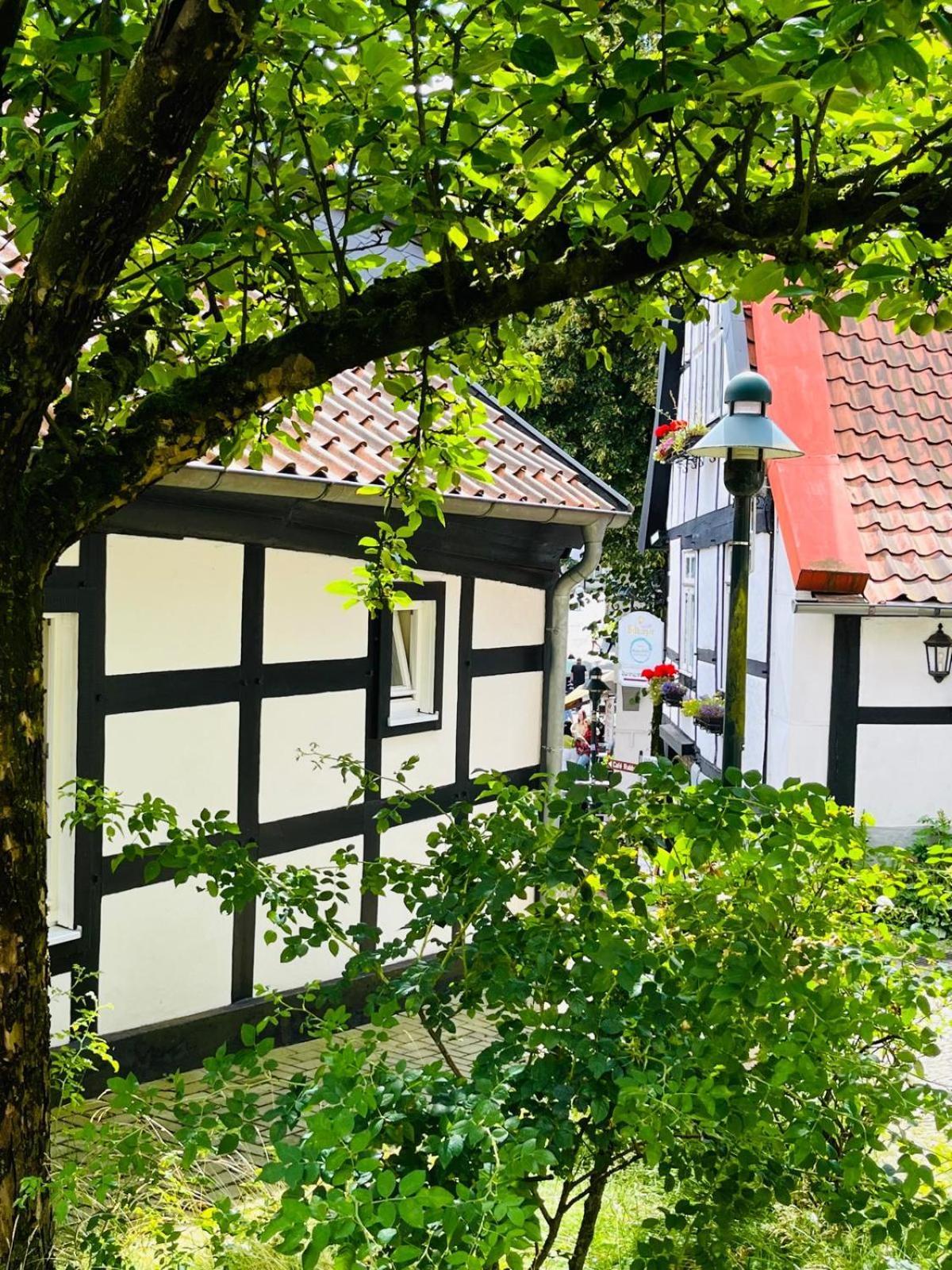 Ferienwohnung Lateinschule Tecklenburg Exterior foto