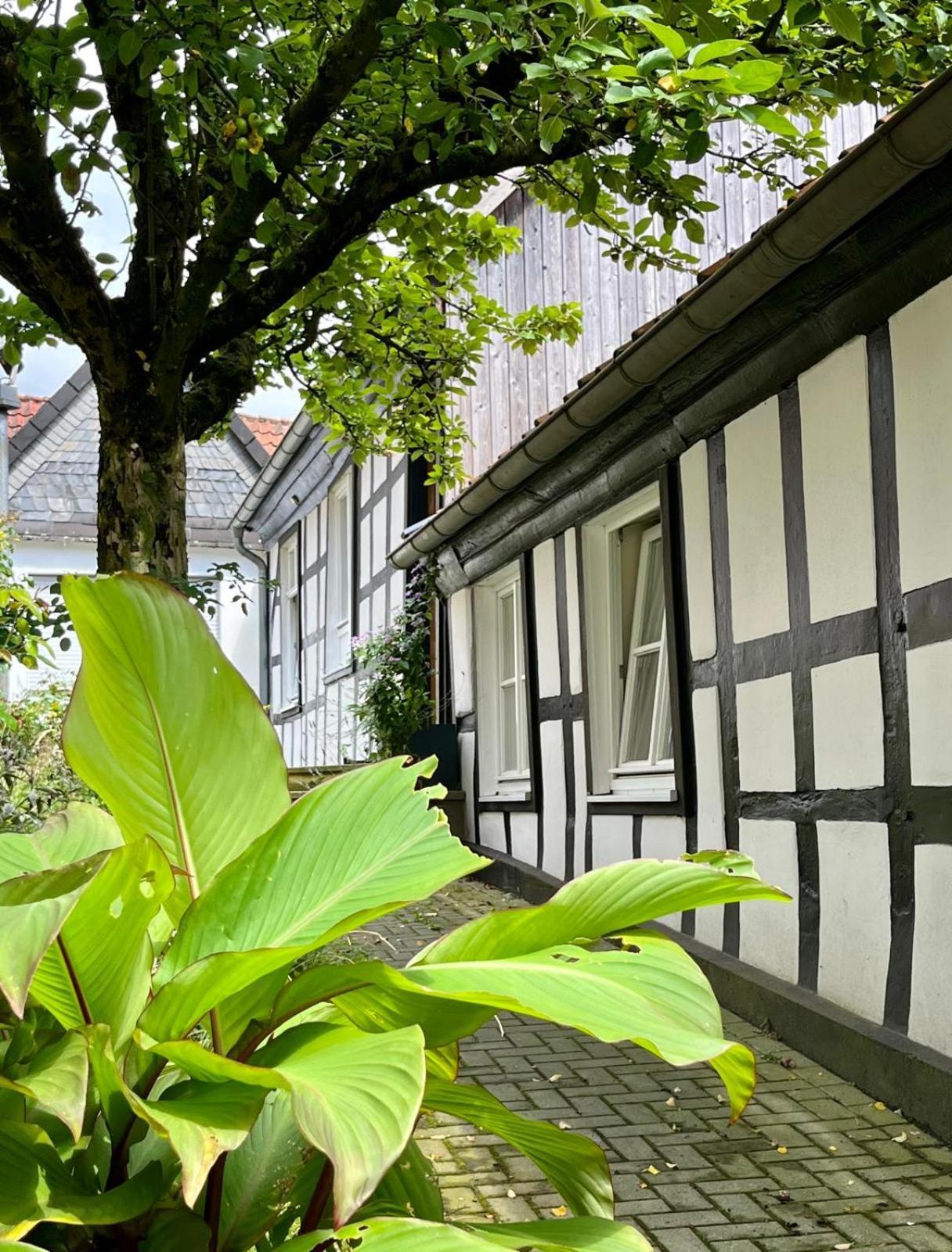 Ferienwohnung Lateinschule Tecklenburg Exterior foto